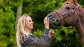 意外精準的動物溝通揭開馬兒傷疤的原因(圖)