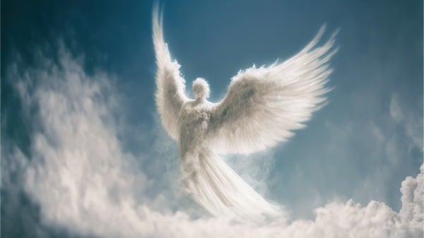 天使(16:9)