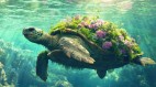 黄河的秘密你听说过那只巨龟吗(图)