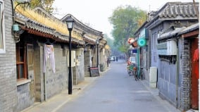 8964端午那年槐花正香（上）(圖)