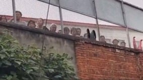 “好多人是警察送来的”传重庆精神病院多人爬围墙求助(图)