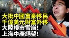 大批中國富豪移民千億美元財富外移大陸樓市雪崩上海中產絕望　(視頻)