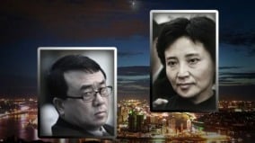 謀害海伍德細節：谷開來拆藥手疼王立軍給她解毒(組圖)