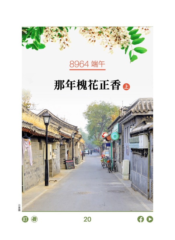 8964 端午 那年槐花正香(上) 