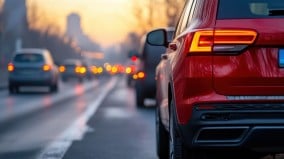 黃昏異事一人一狗開車誤入另一個維度(圖)