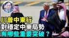 【謝田時間】重建阿拉伯親美聯盟以和平方式迫使伊朗放棄核武器(視頻)