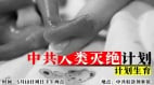 被追捕的生命：一个“超生女儿”的来时路(图)
