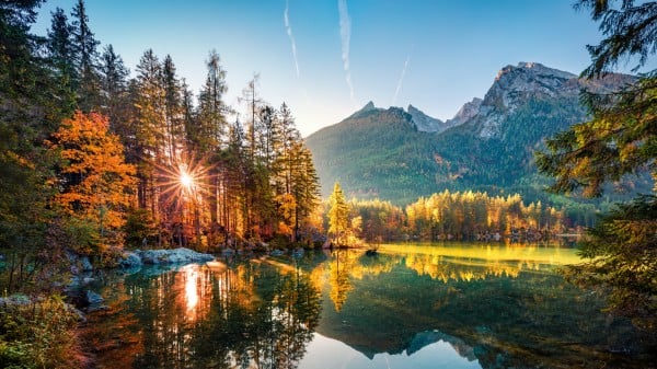 自然 山水 美景 樹木 353330925