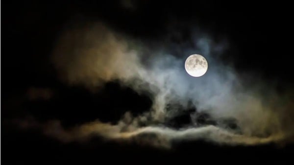 獨自面對寒冷、霧霾、漫漫黑夜……我給您的…唯有溫暖、皎潔、昂首光明。