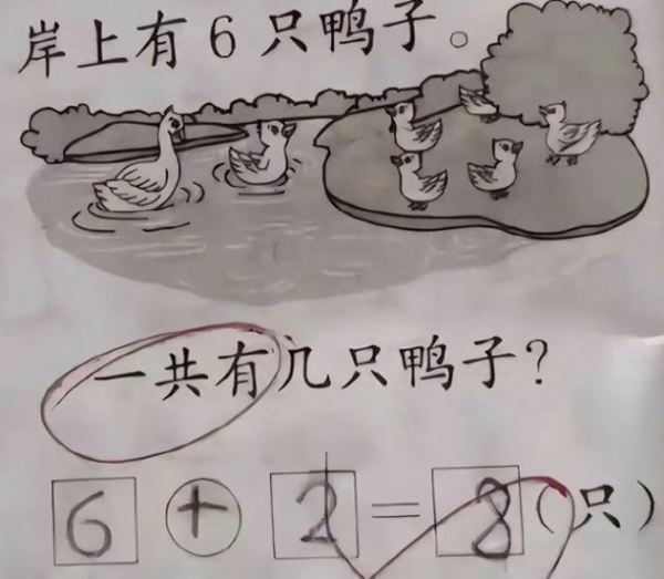 孩子 家长 陷阱 教育密码 加减乘除 小学数学题
