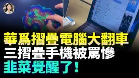 華爲狠宰愛國小粉紅售後傷透鐵粉心剛買回家就故障(視頻)