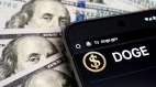 DOGE影响使华盛顿特区信用评级下降(图)