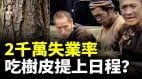 高關稅重創中國；2000萬失業即將來臨網友熱議「樹皮吃法」(視頻)