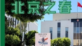在防火墙的阴影下我选择了自由(组图)