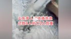 山東一回收企業多人落入清洗池致5死2危重(組圖)