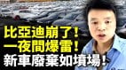 比亞迪崩了20多家門市集体爆雷4S店紛紛卷錢跑路(視頻)