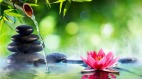 古人智慧：徹底看清一個人的4個瞬間(組圖)
