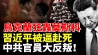 乌克兰狂轰莫斯科习近平被逼赴死中共官员大反叛(视频)