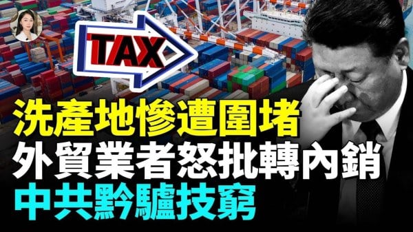 習魅力攻勢慘敗東南亞三國紛變臉「出口轉內銷」被批僞命題(視頻)