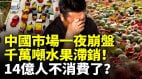 中国水果市场一夜崩盘千万吨水果滞销(视频)