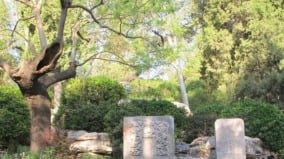 是谁砍了崇祯上吊的歪脖槐树江青秘书揭谜底(组图)
