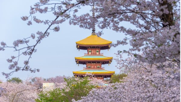 智慧