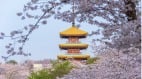 灵魂的叩问李商隐的《锦瑟》为何千年难解(组图)
