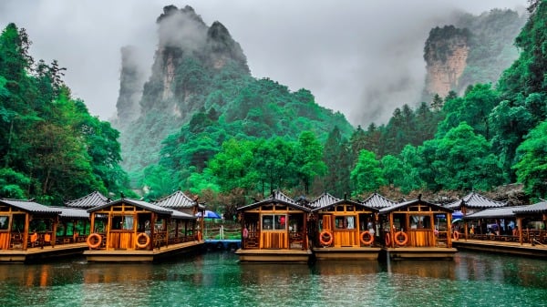 俗语“日不晒根口不吞阳”是啥意思(图)