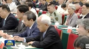 红二代联署声势庞大“两大罪”促习下台(图)