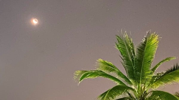 站在死亡与生命的交界处——看见真理(图)