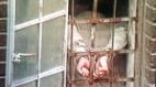 河北警察刑讯逼供退伍海军被折磨死老父被逼舔肛门(组图)
