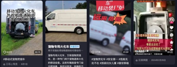 寵物