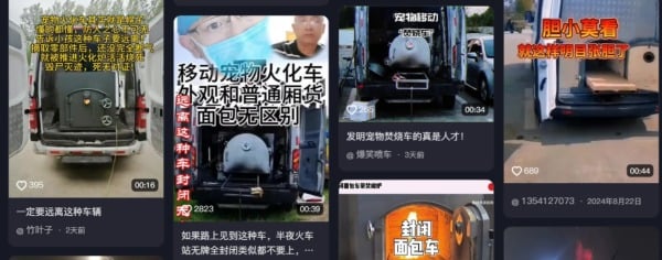 寵物
