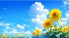 “过了夏至节三做三不做”分别指的是啥(组图)
