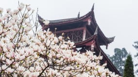 蒲松龄的前生与来世比《聊斋志异》更精采(图)