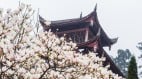 蒲松龄的前生与来世比《聊斋志异》更精采(图)