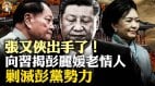 张又侠出手了向习揭彭丽媛老情人剿灭彭党势力(视频)