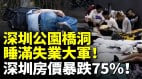 深圳撑不下去了公园桥洞睡满失业大军深圳房价暴跌75(视频)