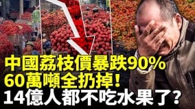 中國荔枝價暴跌90賣不出去拋荒野60萬噸全扔掉(視頻)