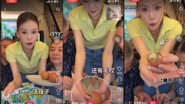 舔共女星疑带中国“胚胎蛋”回台防检署:若违规罚万元(图)