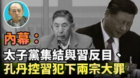 【袁红冰热点】独家内幕：中共红色家族海外财产达二十万亿太子党孔丹控习犯下两宗大罪(视频)