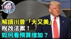 【谢田时间】税改法案让美国民众受益吗仅多一票通过民主党为反对而反对(视频)