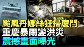 台风丹娜丝直逼厦门狂风暴雨城市被毁(视频)