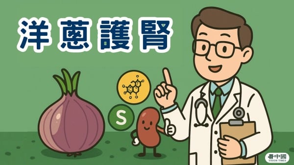 洋葱