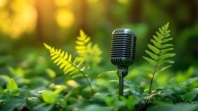 你的盆栽在哭泣植物缺水时竟会“求救”(图)