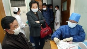 佛山新疫情全市淪陷世衛警告：基孔肯亞熱疫情正在擴散(圖)