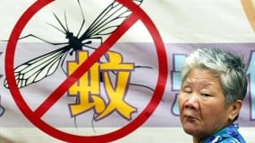 佛山基孔肯亞熱患者破4千廣州湛江陽江現病例(圖)