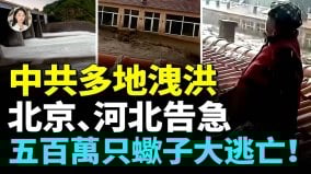 涿州再遭洪水多地民众被水困屋里陕西金店被冲毁(视频)