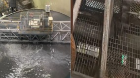 東大6名學生是溺亡家屬：不准看監控和接受採訪(組圖)