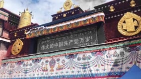 淫僧不止釋永信「副部長級」會長更「花」(圖)
